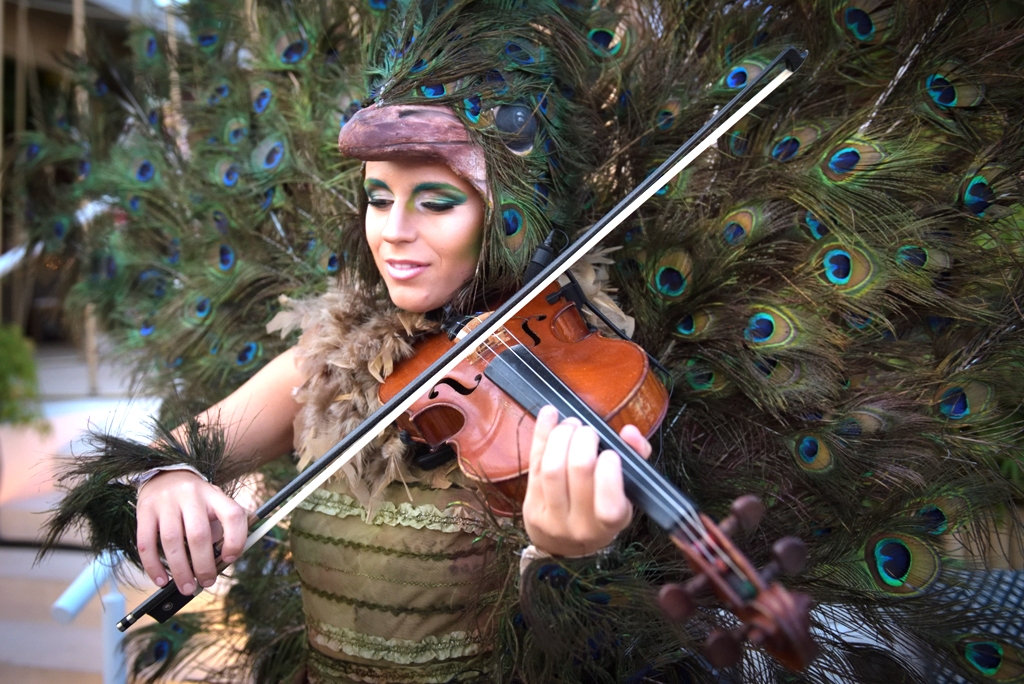 birthday party entertainment with peacock clad violinist