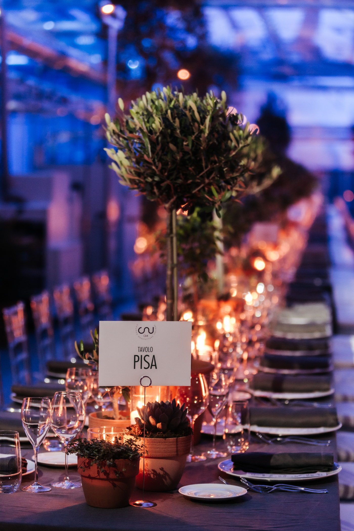 table decor with small olive tree and candles for corporate event