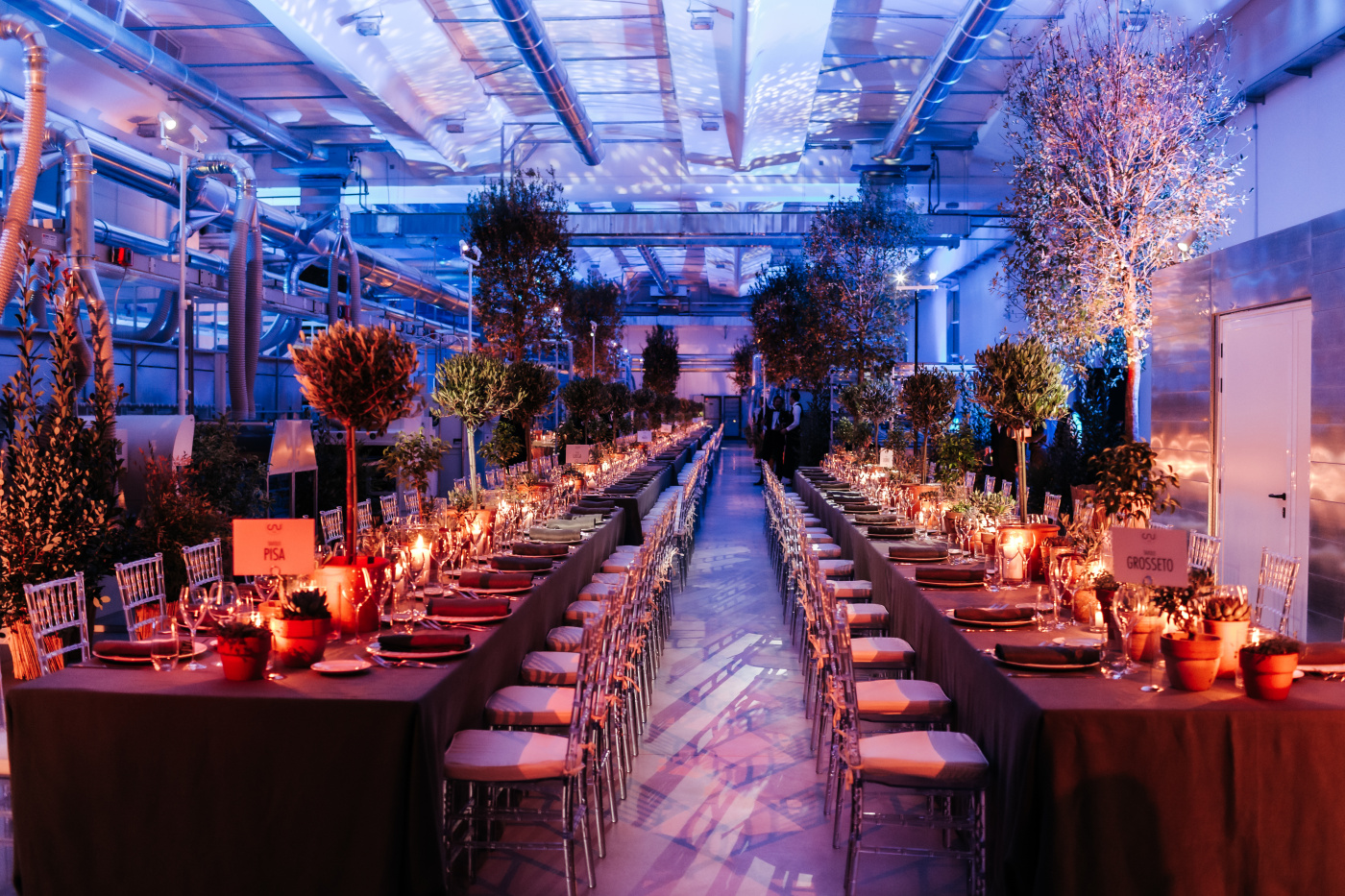 Company event with long tables and plants as decor