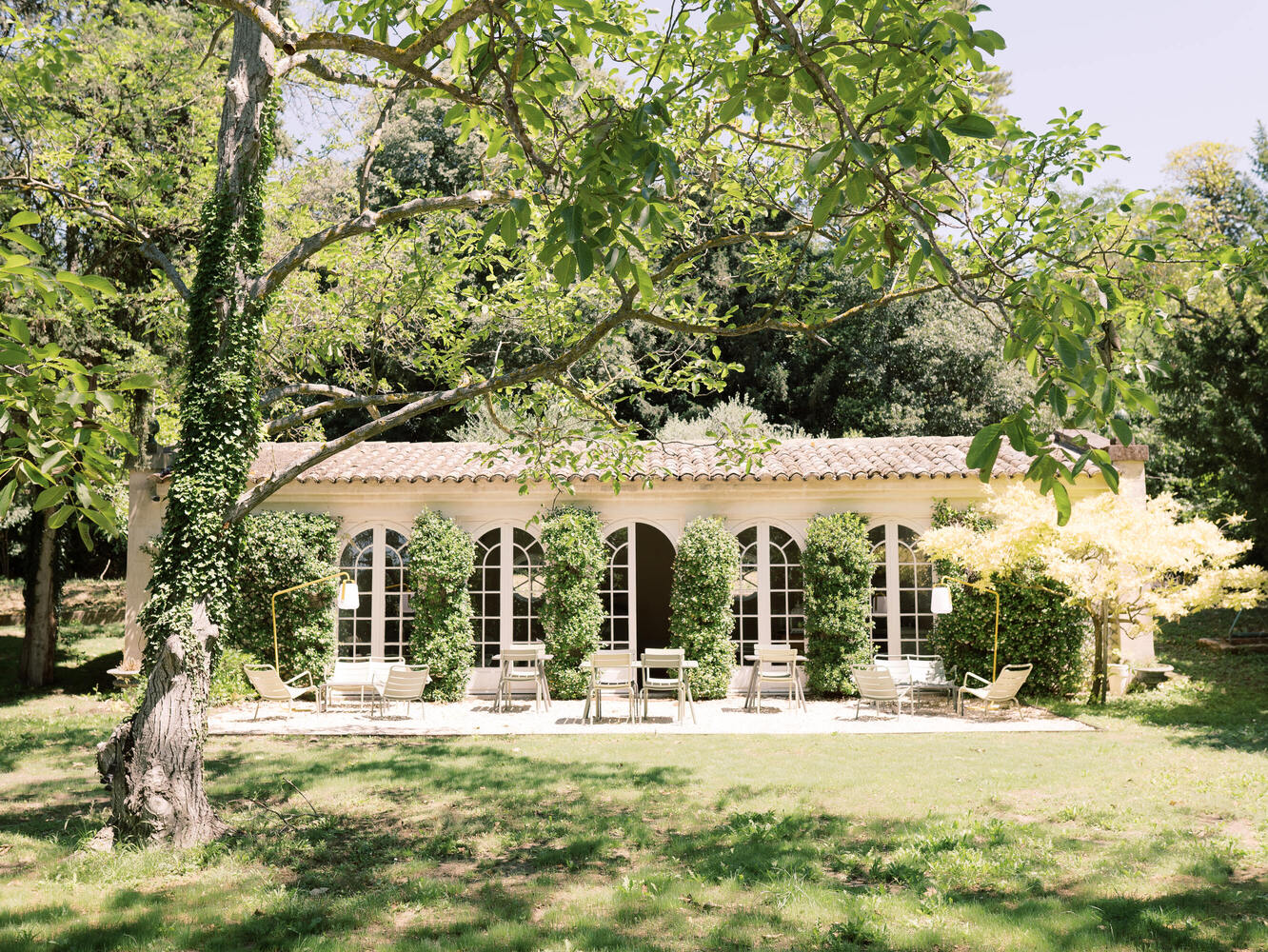 Lemon treen house of luxury chateau in France