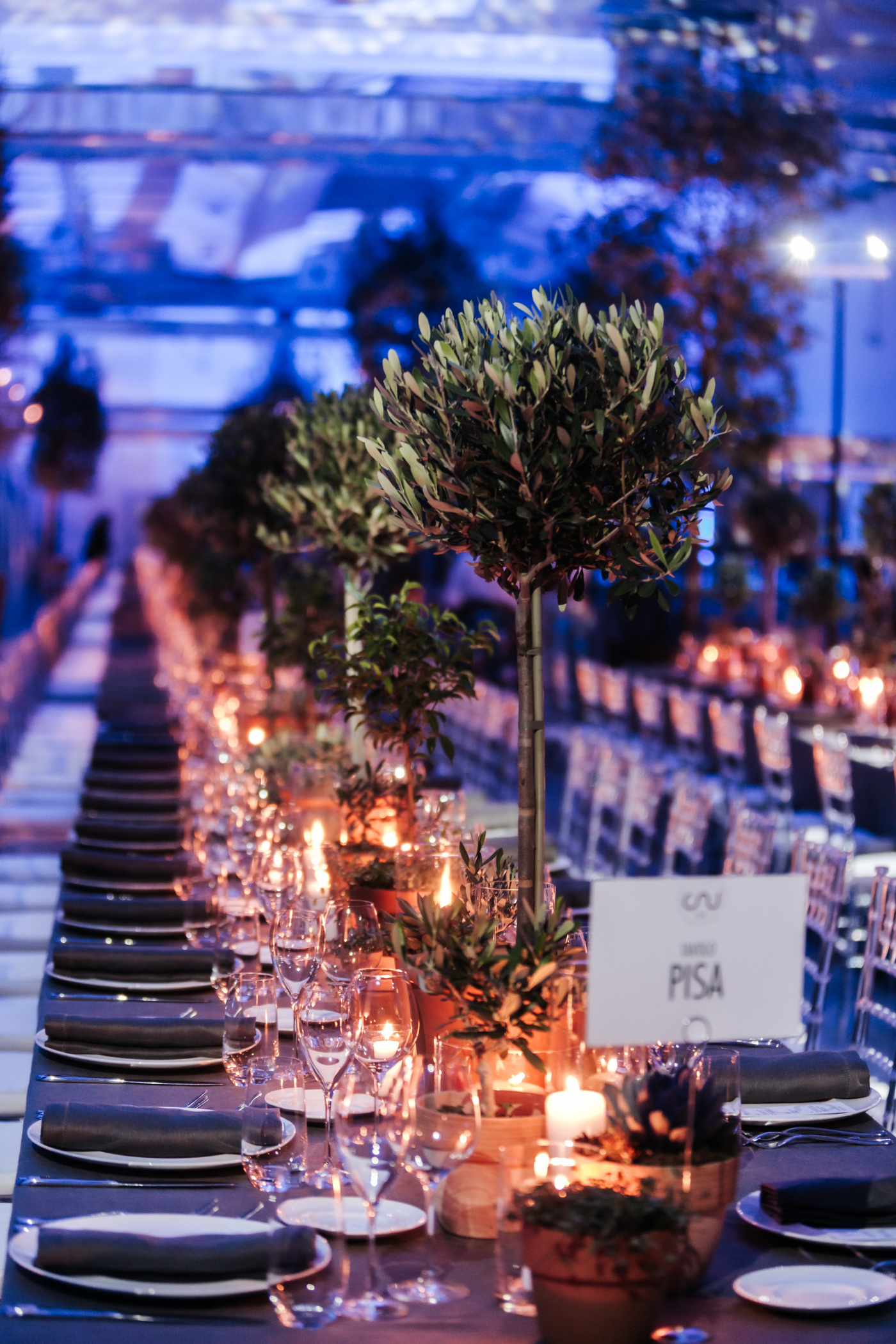 Olive plants and herbs with candles for a corporate event dinner