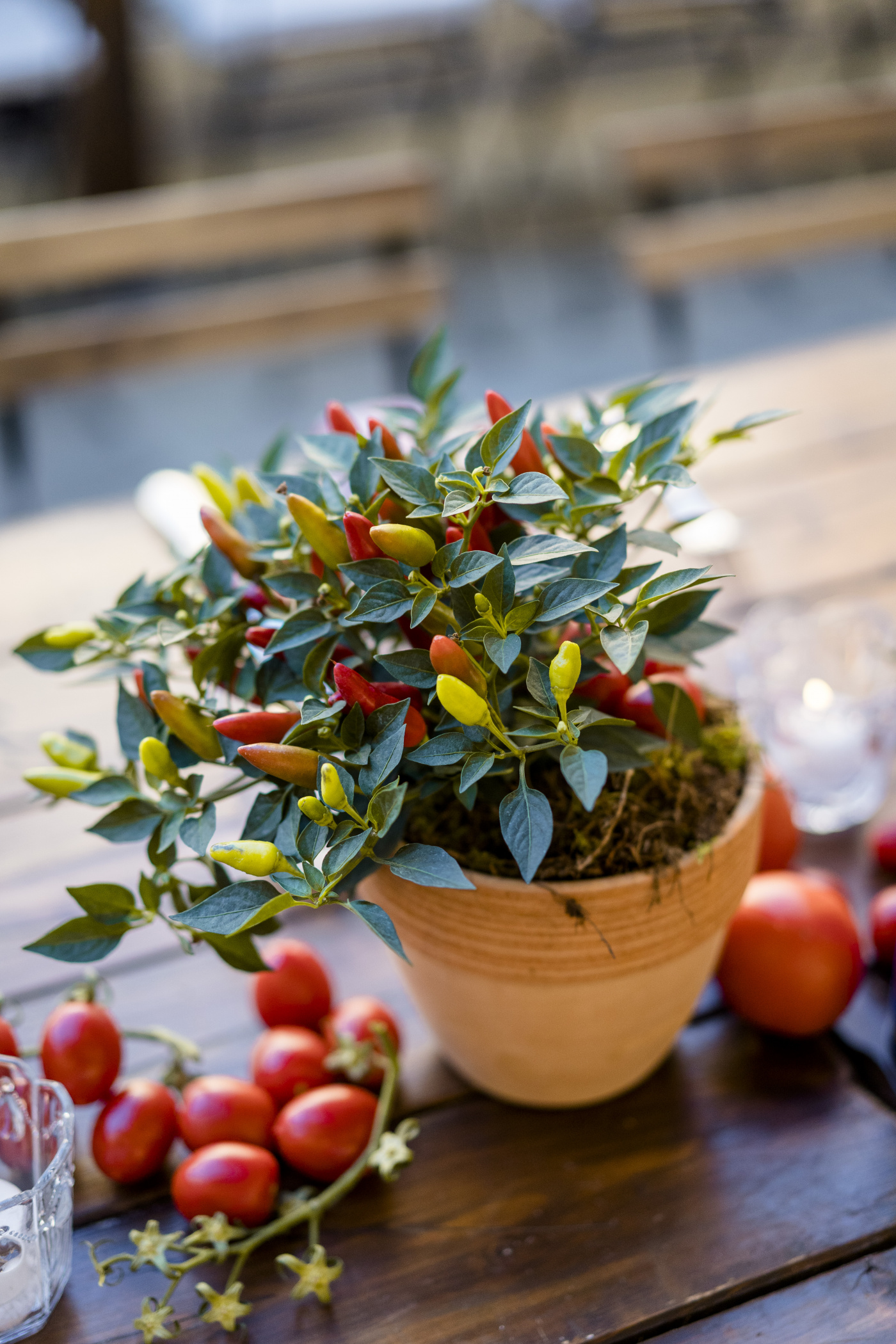Herbs and peppers as decor for a rustic chic welcome night